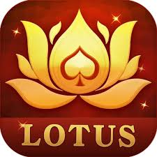 teen patti casino mod apk download